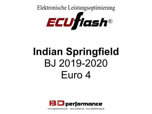 ECUflash Indian Springfield BJ 2019-2020 - Euro 4